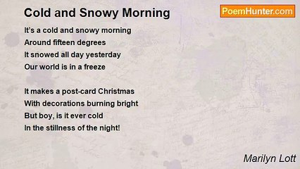Marilyn Lott - Cold and Snowy Morning