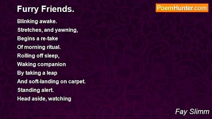 Fay Slimm - Furry Friends.