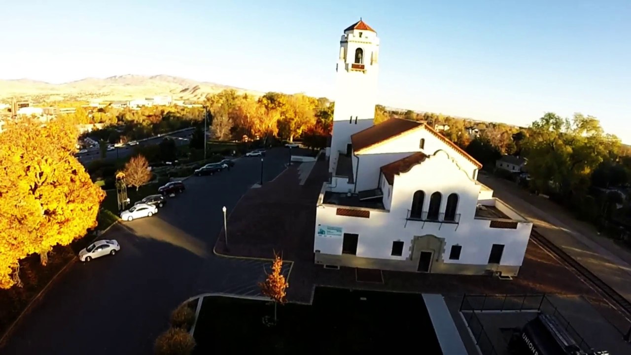 Boise Train Depot Cat