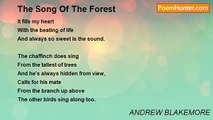 ANDREW BLAKEMORE - The Song Of The Forest