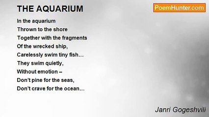 Janri Gogeshvili - THE AQUARIUM