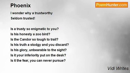 Vidi Writes - Phoenix