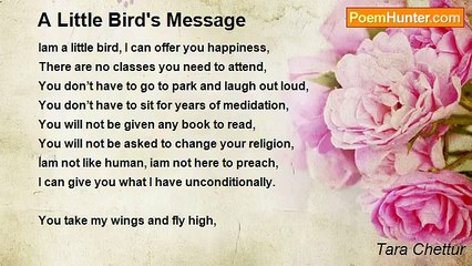 Tara Chettur - A Little Bird's Message