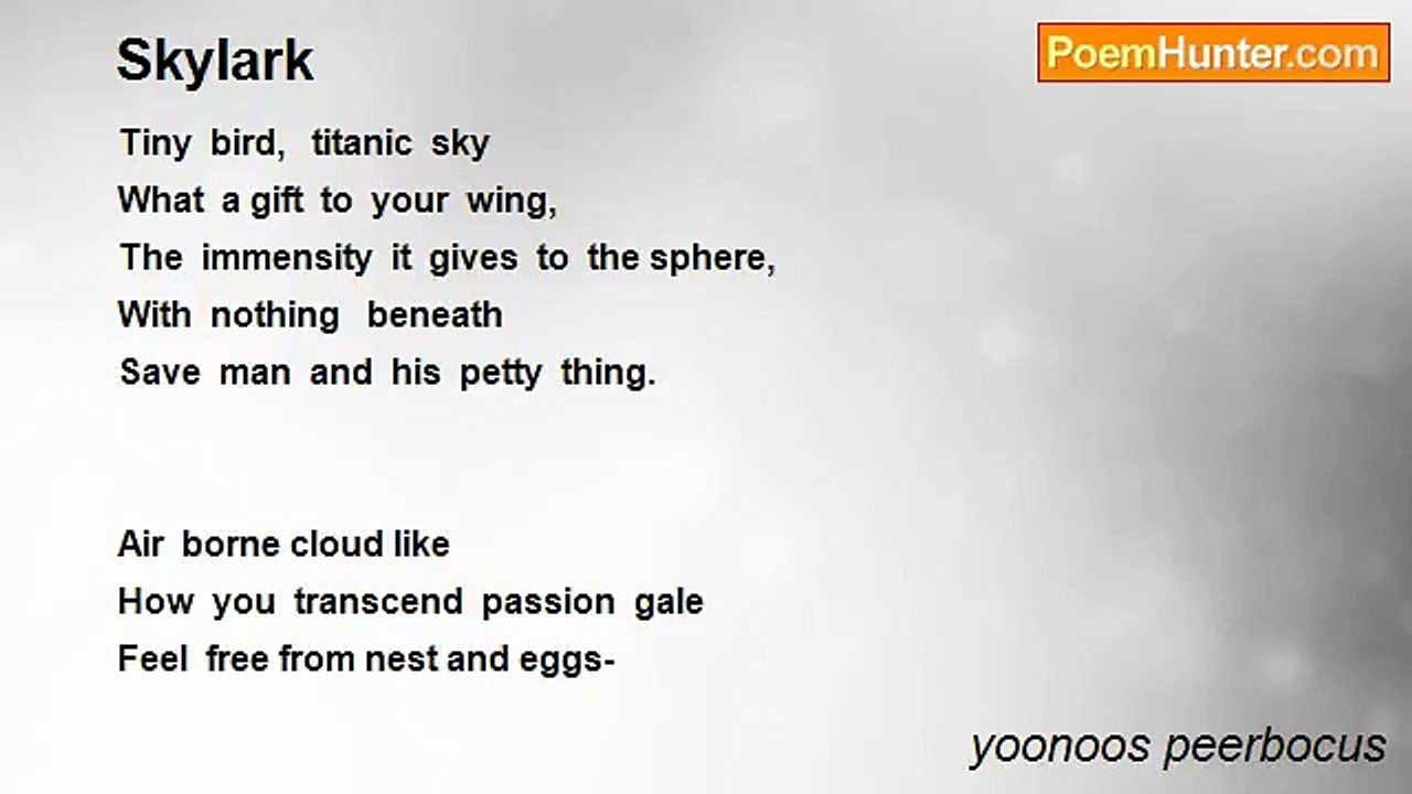 yoonoos peerbocus - Skylark