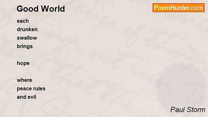 Paul Storm - Good World