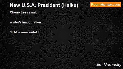 Jim Norausky - New U.S.A. President (Haiku)