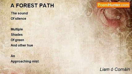 Liam ó Comáin - A FOREST PATH