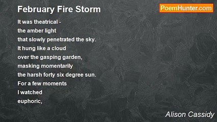 Alison Cassidy - February Fire Storm