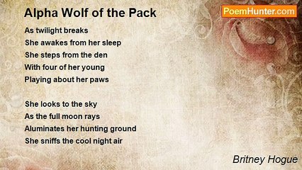 Britney Hogue - Alpha Wolf of the Pack