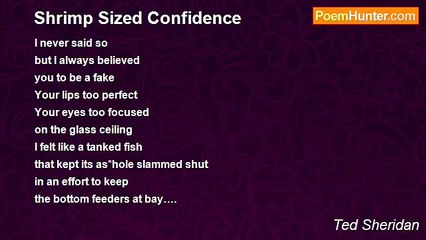 Ted Sheridan - Shrimp Sized Confidence