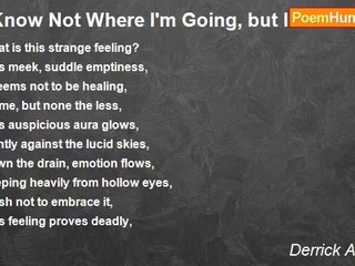 Derrick Andrews - I Know Not Where I'm Going, but I Know Relief Awaits Me