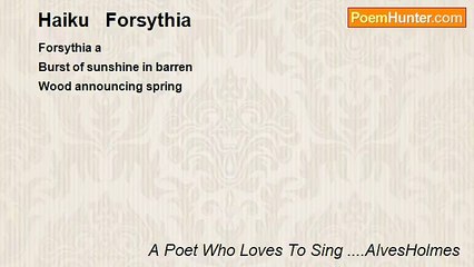 A Poet Who Loves To Sing ....AlvesHolmes - Haiku   Forsythia