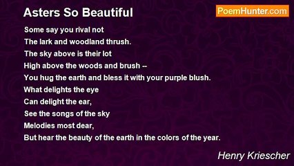 Henry Kriescher - Asters So Beautiful