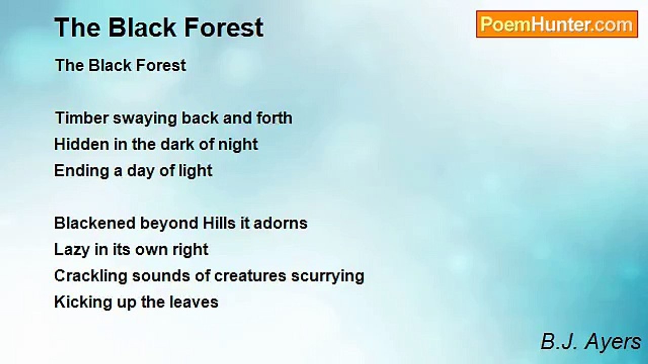B.J. Ayers - The Black Forest