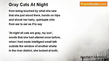 Herbert Nehrlich - Gray Cats At Night