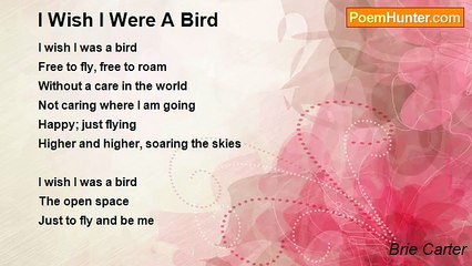 Brie Carter - I Wish I Were A Bird