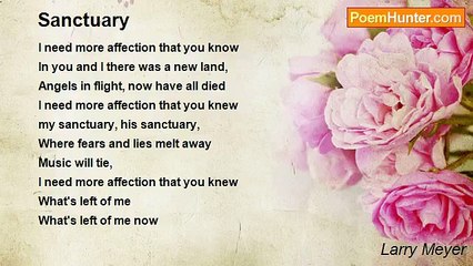 Larry Meyer - Sanctuary