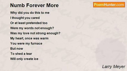 Larry Meyer - Numb Forever More