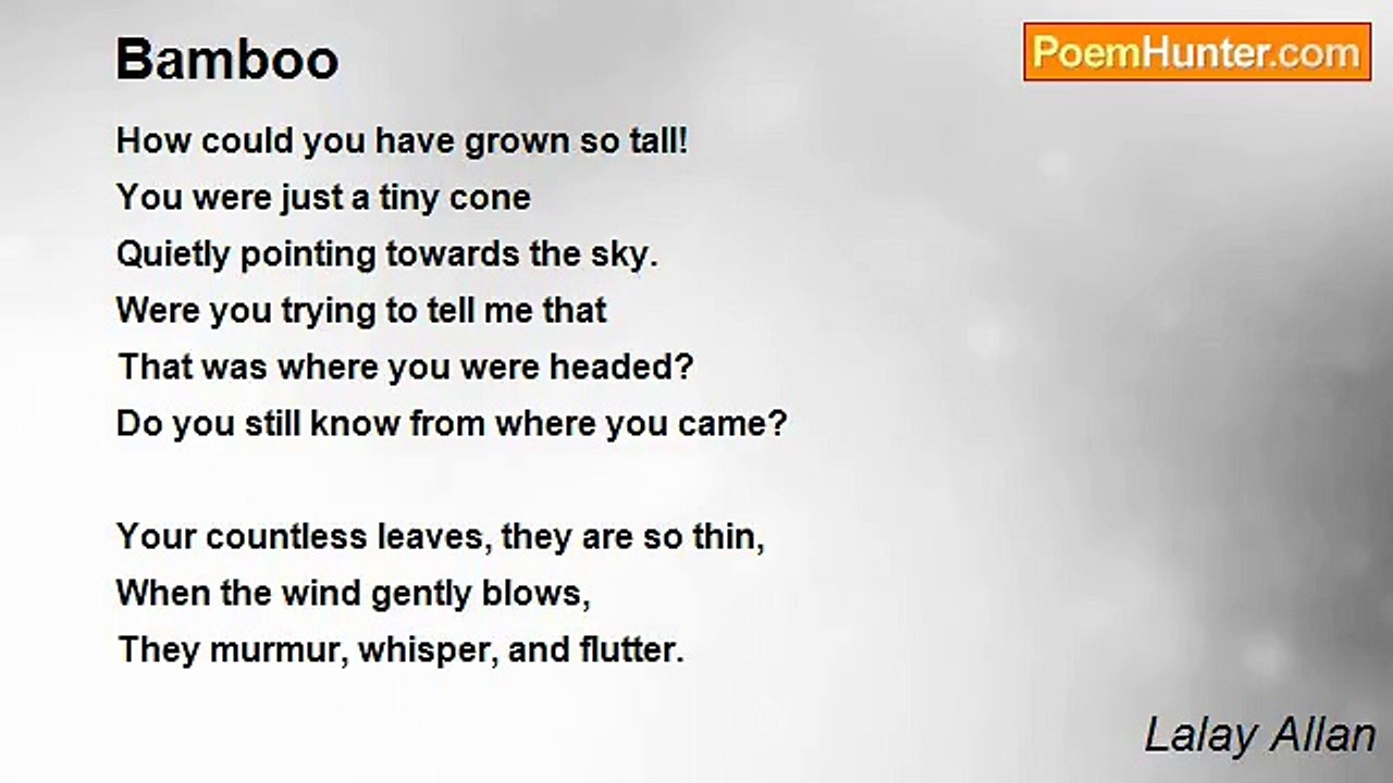 Lalay Allan - Bamboo