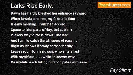 Fay Slimm - Larks Rise Early.