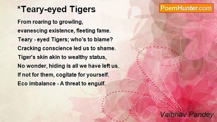 Vaibhav Pandey - *Teary-eyed Tigers