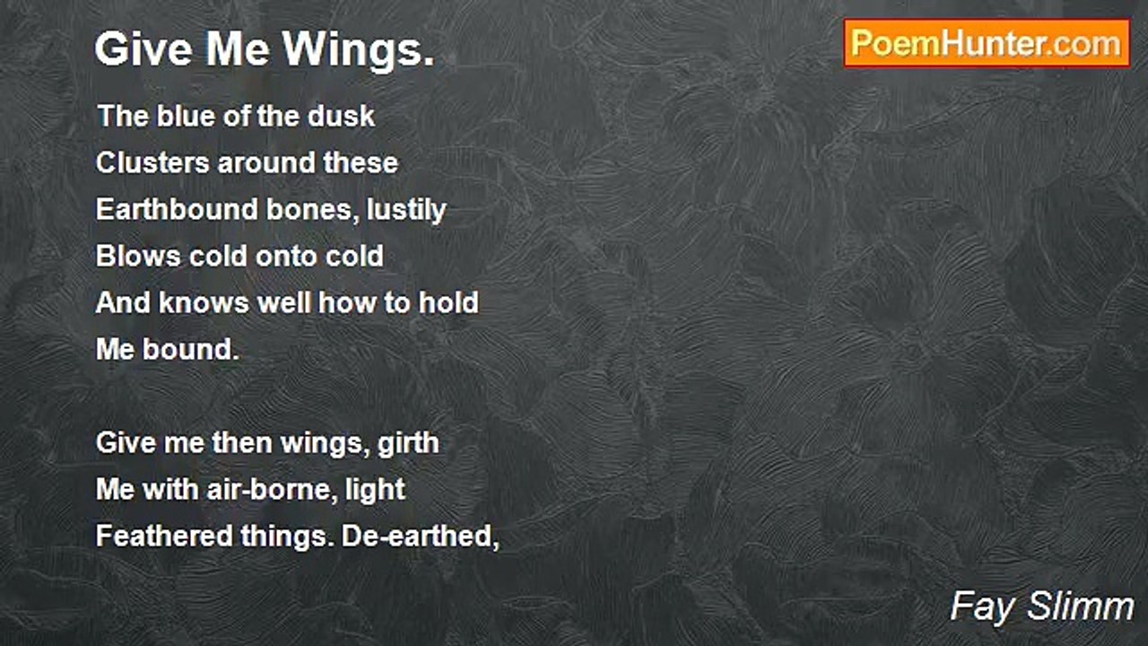 Fay Slimm - Give Me Wings.