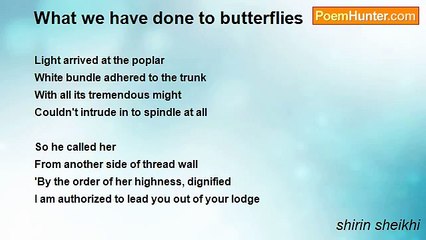 shirin sheikhi - What we have done to butterflies