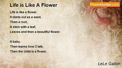 LeLe Gallon - Life is Like A Flower
