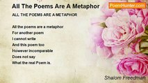 Shalom Freedman - All The Poems Are A Metaphor