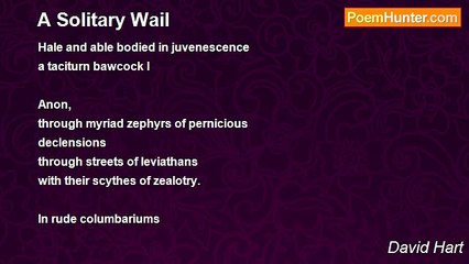 David Hart - A Solitary Wail