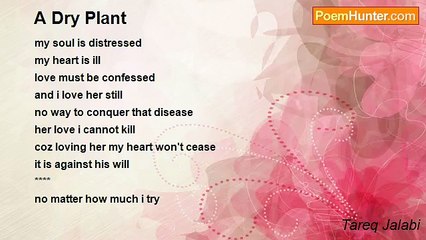 Tareq Jalabi - A Dry Plant