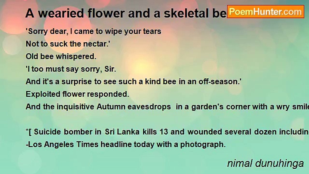 nimal dunuhinga - A wearied flower and a skeletal bee