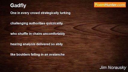 Jim Norausky - Gadfly