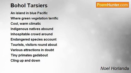 Noel Horlanda - Bohol Tarsiers