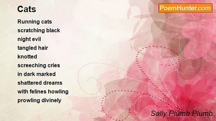 Sally Plumb Plumb - Cats