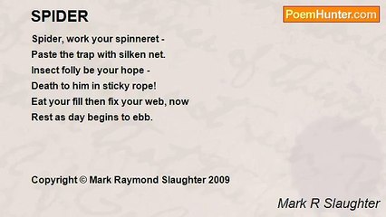 Mark R Slaughter - SPIDER