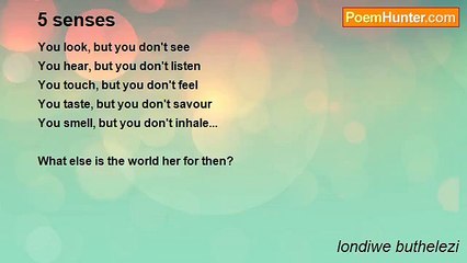 londiwe buthelezi - 5 senses
