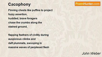 John Weber - Cacophony