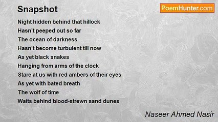 Naseer Ahmed Nasir - Snapshot