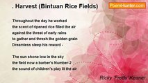 Ricky 'Freds' Kesner - . Harvest (Bintuan Rice Fields)