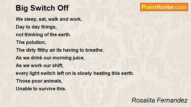 Rosalita Fernandez - Big Switch Off