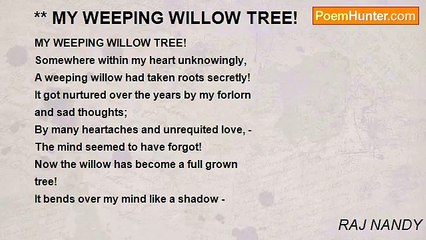 RAJ NANDY - ** MY WEEPING WILLOW TREE!