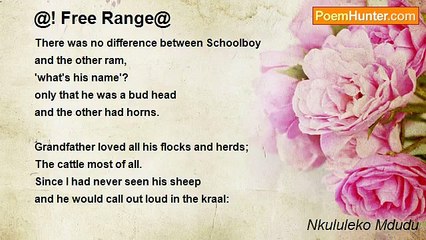 Nkululeko Mdudu - @! Free Range@