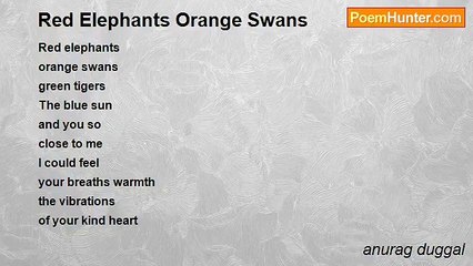 anurag duggal - Red Elephants Orange Swans