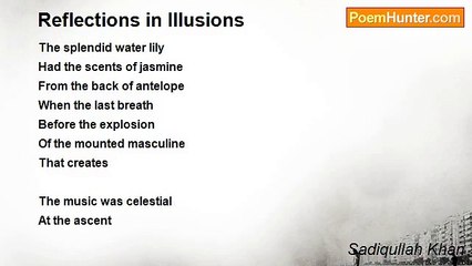 Sadiqullah Khan - Reflections in Illusions