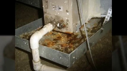 Home Inspector in Boston MA