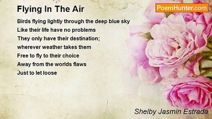 Shelby Jasmin Estrada - Flying In The Air