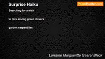 Lorraine Margueritte Gasrel Black - Surprise Haiku