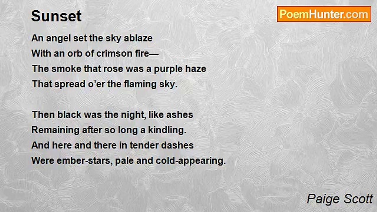 Paige Scott - Sunset