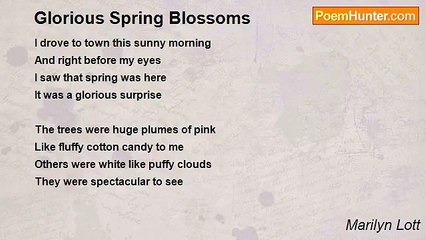 Marilyn Lott - Glorious Spring Blossoms